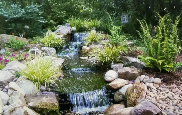 Beautiful Water Feature with Grasses