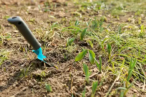 weeding service sandpoint Sandpoint Weeding Services