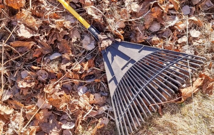 spring clean up in north idaho